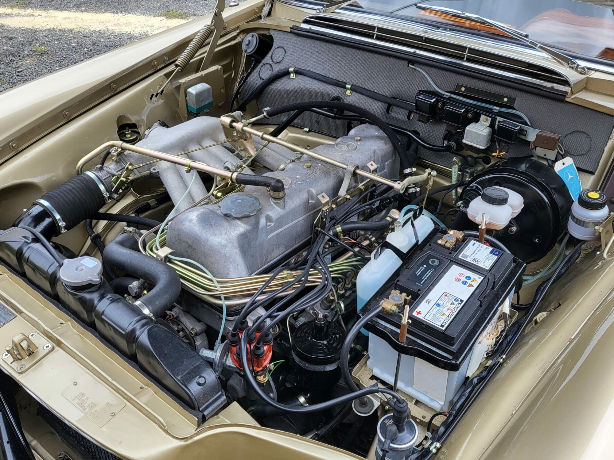 Mercedes 250SE – Image 14