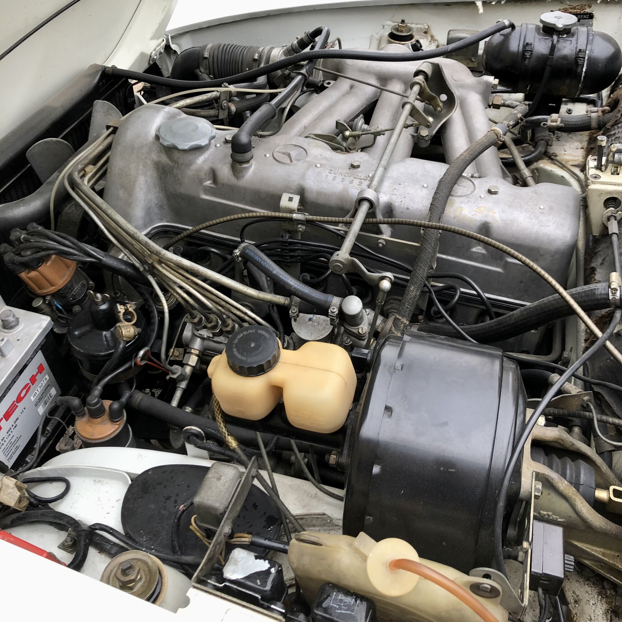 Mercedes 250SL – Image 5